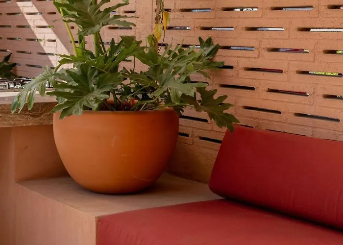 Apartamento 1914 Charm | Saturday Rooftop Yoga, San Rafael México DF